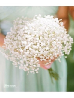 hoa cưới cầm tay cô dâu