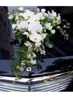 hoa xe cưới giá rẻ