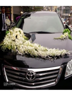 hoa cưới xe cô dâu