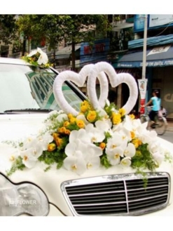 mẫu hoa xe cưới