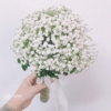 hoa cầm tay cô dâu đơn giản