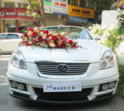 mẫu xe hoa cưới