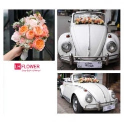 xe hoa cô dâu chú rể