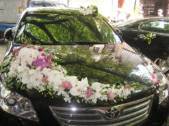 trang trí xe hoa đẹp