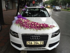 trang trí xe cưới
