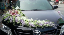 mẫu hoa xe cưới