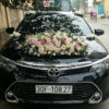 trang trí xe hoa đẹp