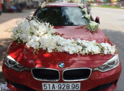 mẫu hoa xe cưới