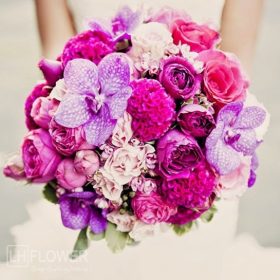 hoa cưới hoa lan hồ điệp