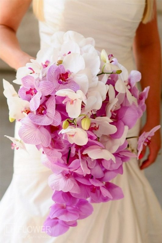 hoa cưới hoa lan hồ điệp