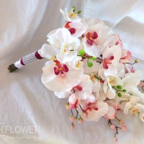 hoa cưới hoa lan hồ điệp