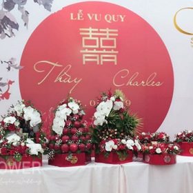 mẫu tráp ăn hỏi 5 lễ 2023