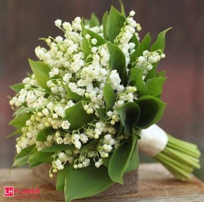 Hoa cưới linh lan trắng