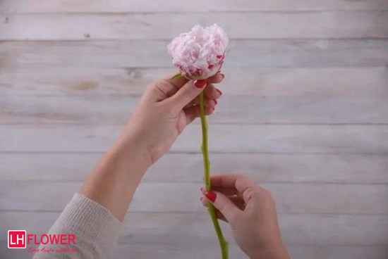 cách bó hoa cưới cầm tay đơn giản