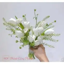 Hoa cưới tulip