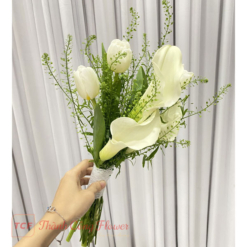 29f8700529d4fc8aa5c5