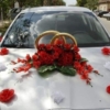 2db3d64953cb8695dfda