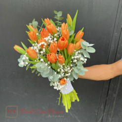 59d5e125b8f46daa34e5