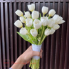 76ca27377ee6abb8f2f7