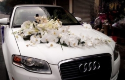 7db7740ff08d25d37c9c
