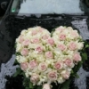 a3fdd5ea50688536dc79